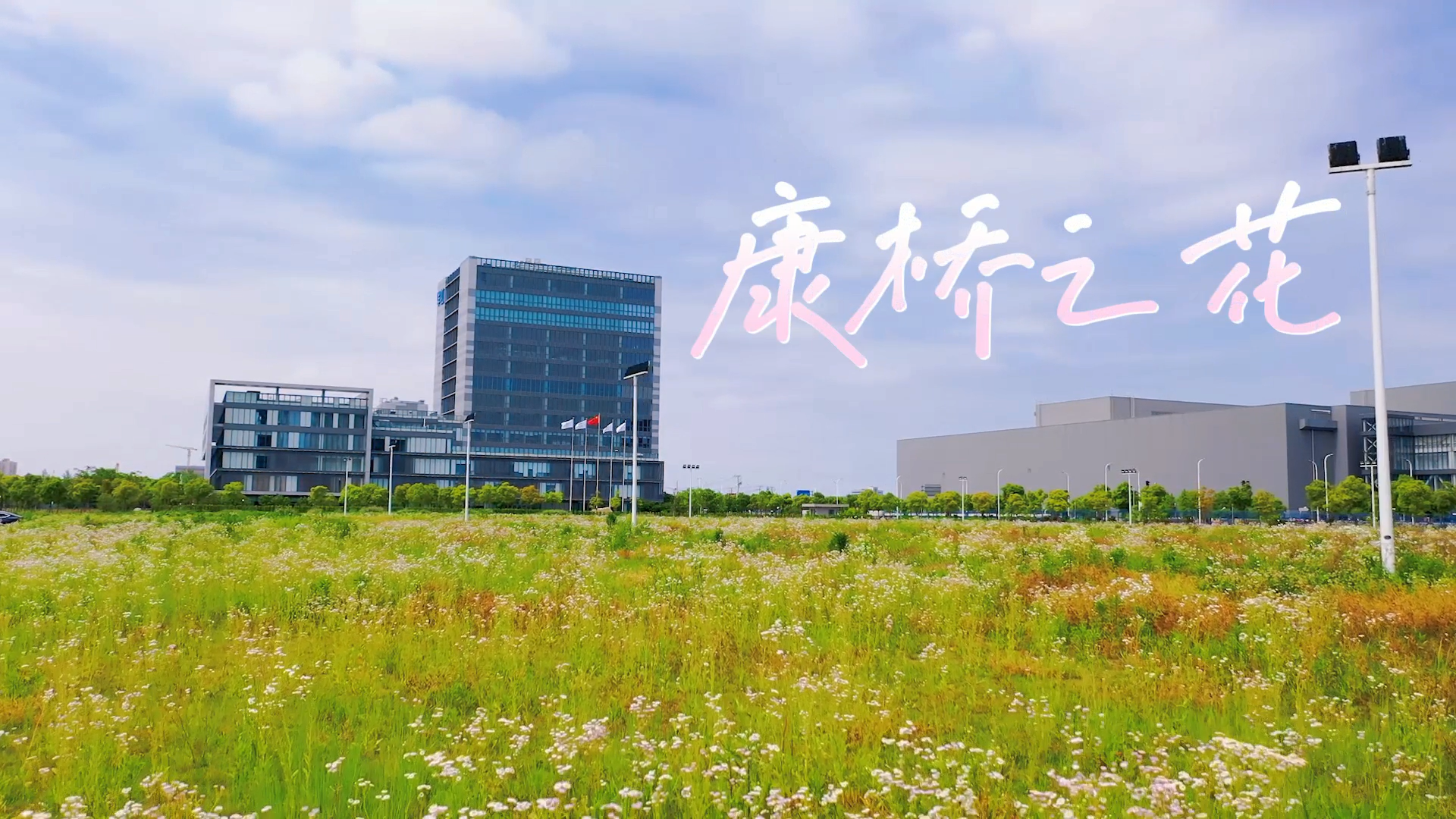 Z6ʱ(й)ٷվ